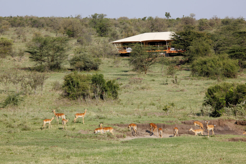 Safariguru Luxury Camp