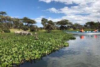 SafariGuru Lake Naivasha