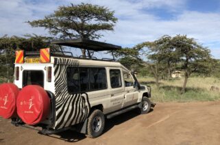SafariGuru 4x4