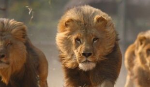 Kenia spannende Safari