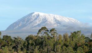 natur Kilimanjaro Tansania