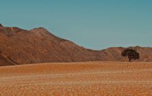 safari-namibia-1 Namibia