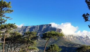 Südafrika Kapstadt Tafelberg Südafrika Kapstadt Tafelberg
